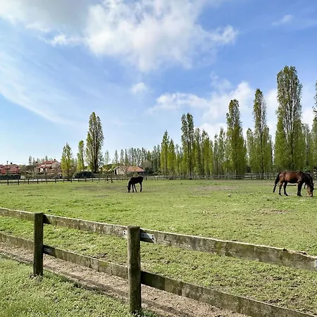 Airone Mare-equilio Park- Piscina, Oasi Natura * Lido di Jesolo